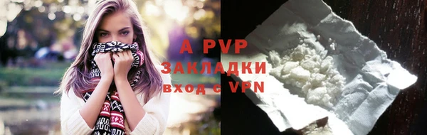 первитин Богданович