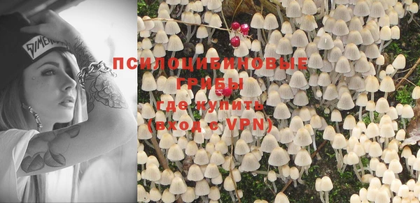 первитин Богданович