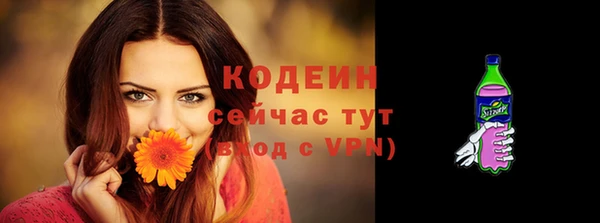 прущие грибы Богородск
