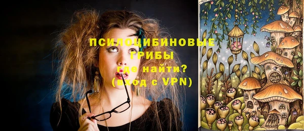 первитин Богданович