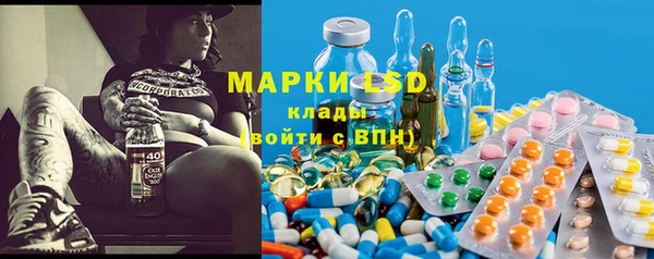 прущие грибы Богородск