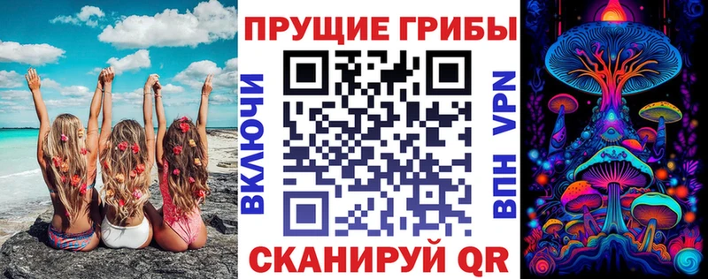Псилоцибиновые грибы мицелий  купить  цена  Морозовск 